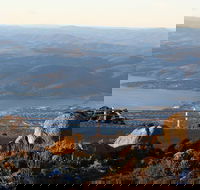 Mt. Wellington Bonorong and Richmond Day Tour from Hobart - Winery Find