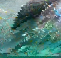 2-Day Moreton Island 4WD Camping Tour from Brisbane