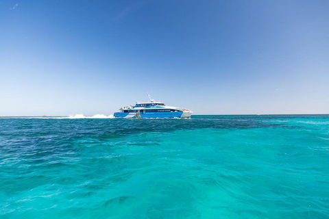 Rottnest Island Bike & Ferry Package From Fremantle - Winery Find 0