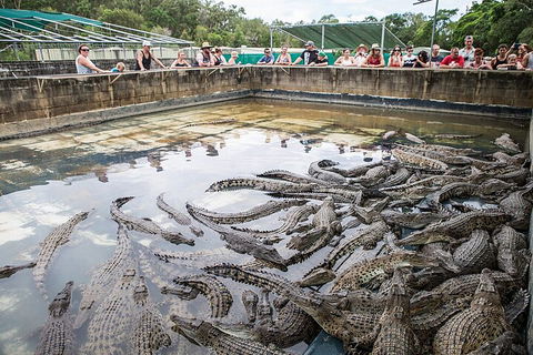 Hartley's Crocodile Adventures Day Trip From Palm Cove - Winery Find 0