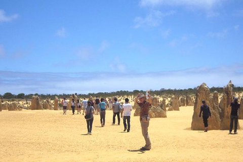 Pinnacles & Rottnest Island Scenic Air & Ground Tour - Winery Find 3