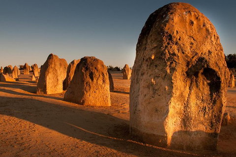 Pinnacles & Rottnest Island Scenic Air & Ground Tour - Winery Find 4