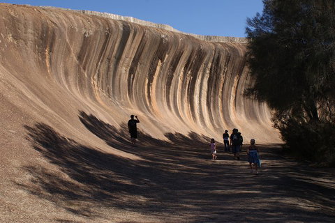 Wave Rock, Pinnacles And Rottnest One Day Aeroplane Tour - Winery Find 4