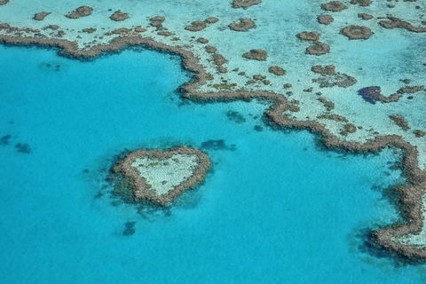 Reef And Island Scenic Flight From Airlie Beach - Winery Find 5