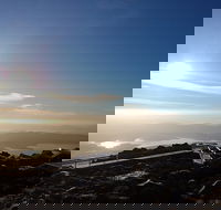 Mount Wellington Descent Cycling Tour departs Hobart - Winery Find