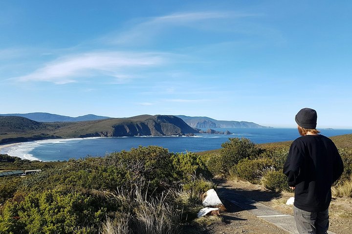 Mount Stuart TAS Winery Find