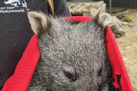 2-Day Tas East Coast Escape Tour Including Bay Of Fires, Wineglass Bay & Devils - Winery Find 3