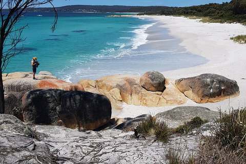 2-Day Tas East Coast Escape Tour Including Bay Of Fires, Wineglass Bay & Devils - Winery Find 4