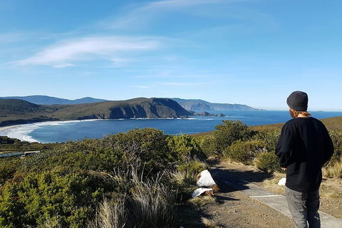 4-Day Fabulous Tasmania Tour: Wineglass Bay, Port Arthur, Devils & Bruny Island - Winery Find 0