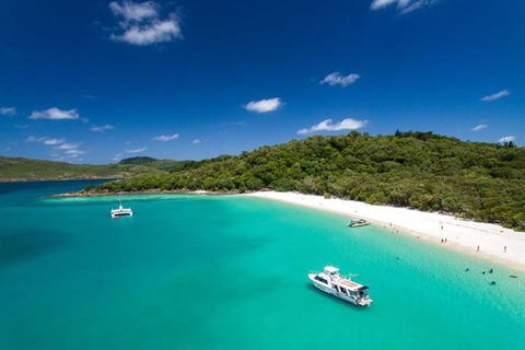 Whitehaven Beach And Hill Inlet | Awesome Beach BBQ | Family Friendly - Winery Find 3