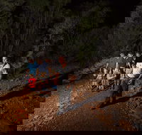 Alice Springs Desert Park Nocturnal Tour - Winery Find