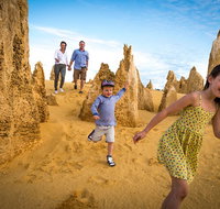 Full-Day Pinnacles Desert and Yanchep National Park Tour From Perth - Winery Find