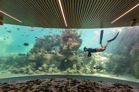 Whitehaven Beach And Daydream Island Cruise - Winery Find 4
