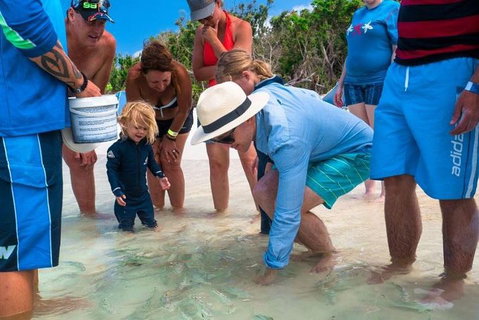 Whitehaven Beach And Hamilton Island Cruise - Winery Find 1