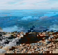 Mount Wellington Ultimate Experience Tour from Hobart - Winery Find