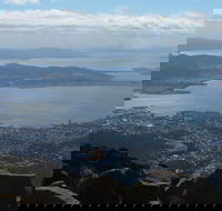 Mt Wellington Tour and MONA Admission - Winery Find