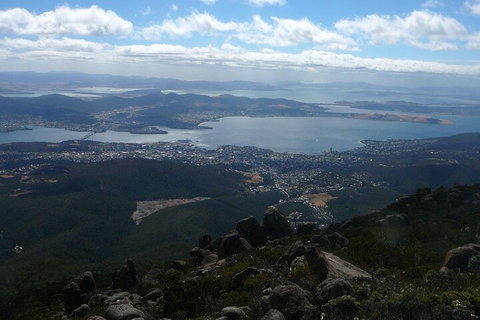 Mt Wellington Tour And MONA Admission - Winery Find 2