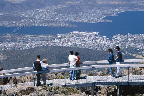 Mt Wellington Tour And MONA Admission - Winery Find 4