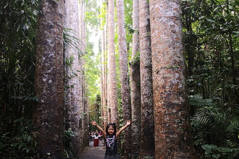 Private Tour To Paronella Park, Historic Village Herberton And Wild Life Wallaby - Winery Find 2