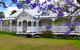Private Tour To Paronella Park, Historic Village Herberton And Wild Life Wallaby - thumb 5