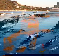 Adventure Moreton Island Wrecks Adventure Package