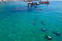 Adventure Moreton Island Scuba Dive Tour, Brisbane
