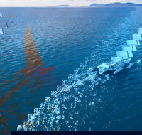 2-Night Whitsunday Islands Sailing Adventure on Trimaran Avatar - Winery Find