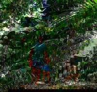Full Day Daintree Rainforest and Mossman Gorge Tour - Winery Find