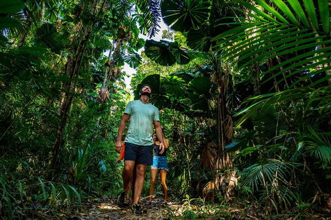 Full Day Daintree Rainforest And Mossman Gorge Tour - Winery Find 0