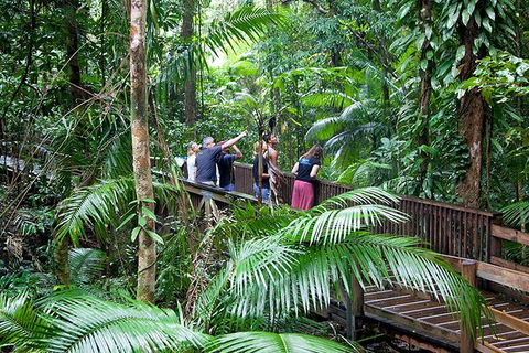 Full Day Daintree Rainforest And Mossman Gorge Tour - Winery Find 1