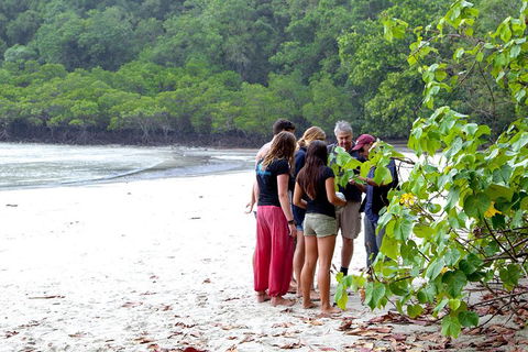 Full Day Daintree Rainforest And Mossman Gorge Tour - Winery Find 2