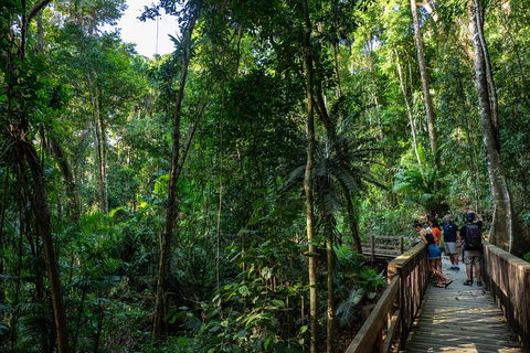 Full Day Daintree Rainforest And Mossman Gorge Tour - Winery Find 5