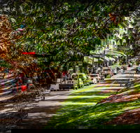Fully Inclusive Blue Mountains Private Tour inc Scenic World  Featherdale entry - Winery Find