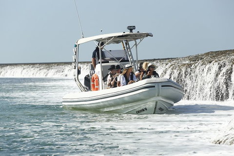 Cygnet Bay Explorer - Winery Find 2