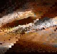 Windjana Explorer - Winery Find