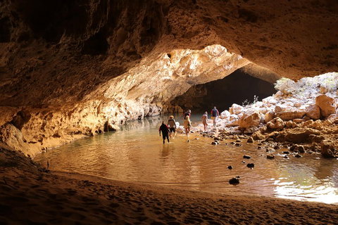 Windjana Explorer - Winery Find 0