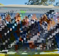 Full Day Mount Tamborine Winery Tour from Gold Coast - Winery Find