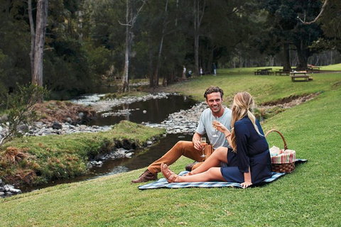 Mt Tamborine - Hinterland Wonders Self Guided - Winery Find 0