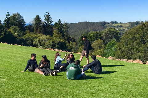 Mt Tamborine - Hinterland Wonders Self Guided - Winery Find 1