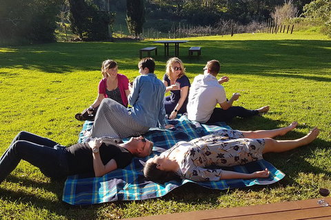 Mt Tamborine - Hinterland Wonders Self Guided - Winery Find 2