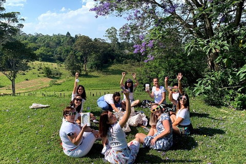 Mt Tamborine - Hinterland Wonders Self Guided - Winery Find 5