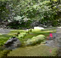 Daintree Dreaming Traditional Aboriginal Fishing from Cairns or Port Douglas - Winery Find