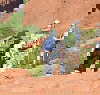 Afternoon Kata Tjuta Small Group Tour - Winery Find