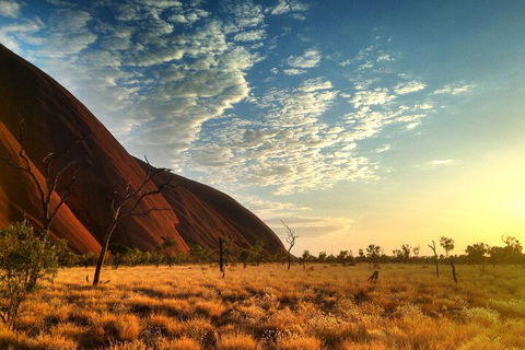 Highlights Of Uluru Including Sunrise And Breakfast - Winery Find 0