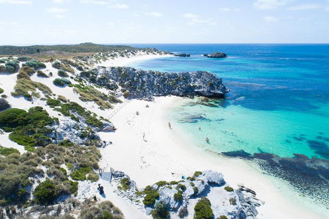 Discover Rottnest With Ferry & Bus Tour From Perth Or Fremantle - Winery Find 5