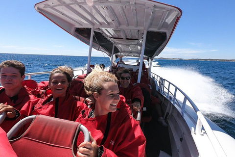Adventure Rottnest Tour With Ferry & Adventure Cruise From Perth Or Fremantle - Winery Find 0