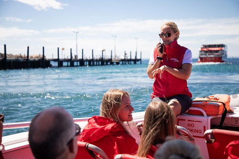 Adventure Rottnest Tour With Ferry & Adventure Cruise From Perth Or Fremantle - Winery Find 4