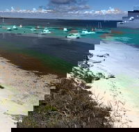 Experience Rottnest with Ferry  Bike Hire from Perth or Fremantle - Winery Find