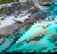 Rottnest Island Round-Trip Ferry from Perth or Fremantle - Winery Find