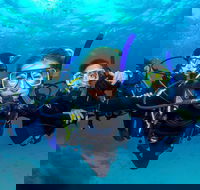 Great Barrier Reef Diving and Snorkeling Cruise from Cairns - Winery Find